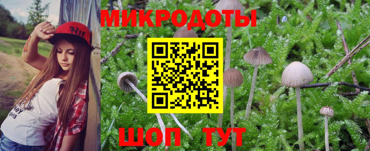 Каннабис Курчалой