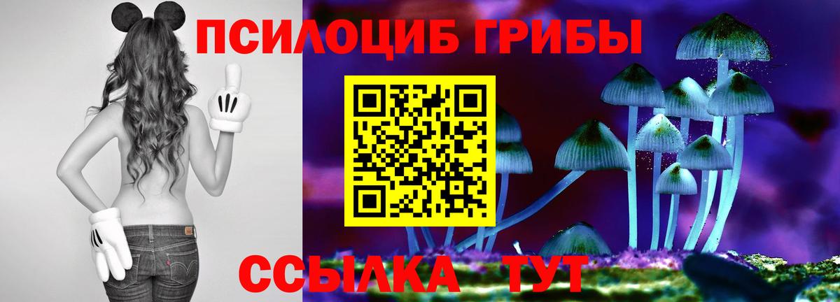 Галлюциногенные грибы MAGIC MUSHROOMS Курчалой